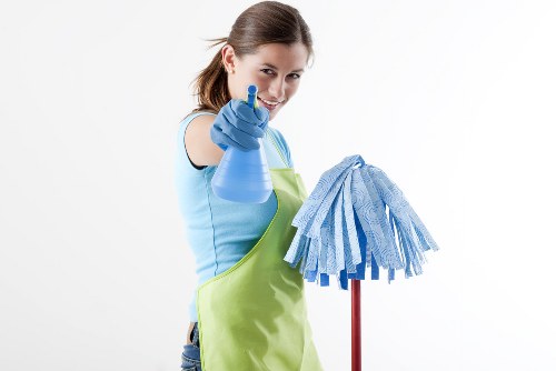 Professional steam carpet cleaning in an SE4 living room