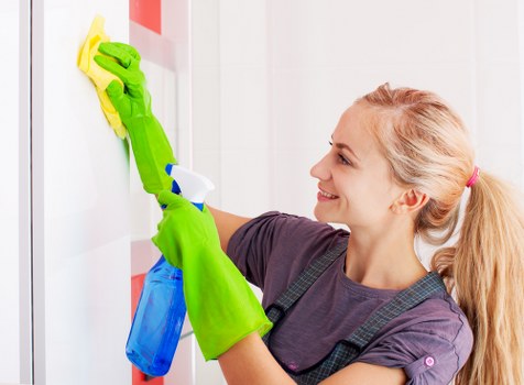 Professional carpet cleaning in a SE4 home with a fresh living room carpet