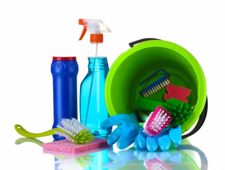 Carpet cleaning team working in an SE4 home interior