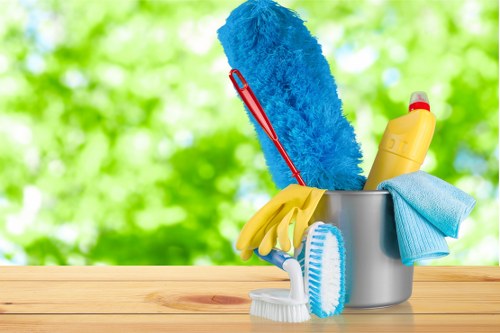 Professional mattress cleaning service in a SE4 home bedroom