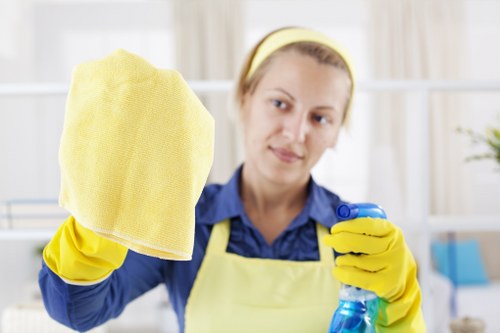 Professional house cleaning service for a SE4 home interior