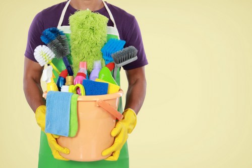 Inclusive browsing experience for Carpet Cleaners SE4 users