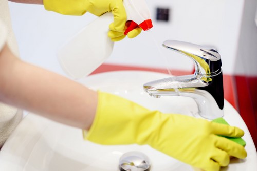 Local cleaner working in a small SE4 office