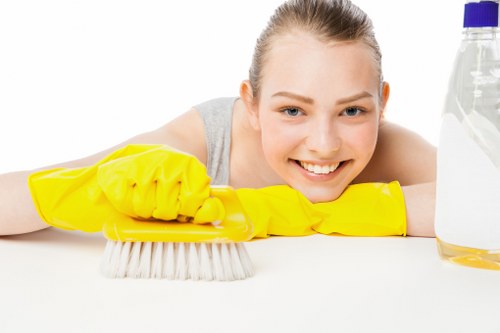 Curtain cleaning assessment in a SE4 residential property