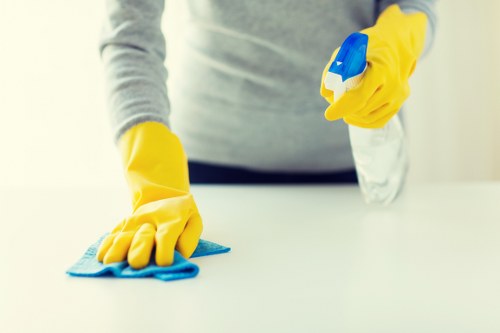 Professional façade cleaning service for SE4 residential and commercial buildings