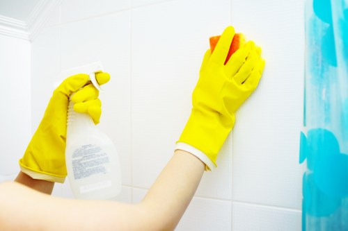 Odour removal treatment for carpets, rugs, and mattresses in SE4