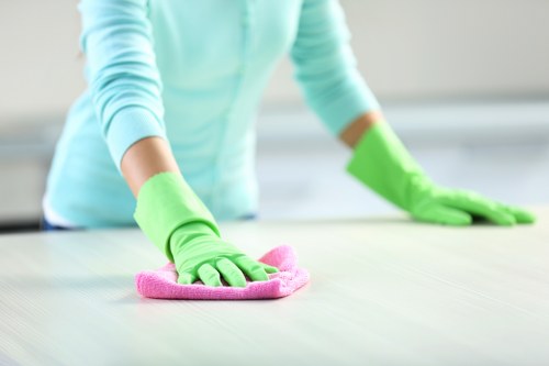 Professional house cleaning for a SE4 property with tailored service options