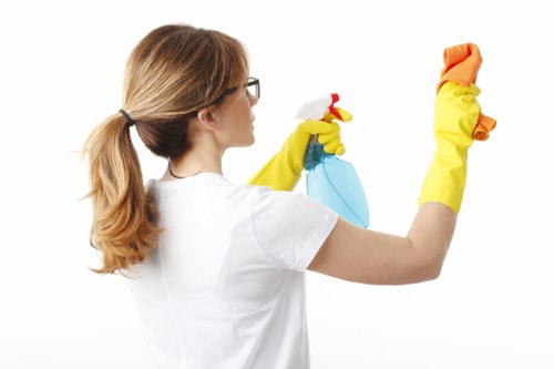 Professional cleaning of shared commercial premises in SE4