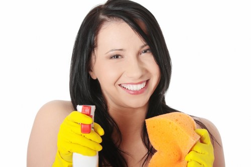 Upholstery cleaning process for a fabric sofa in SE4