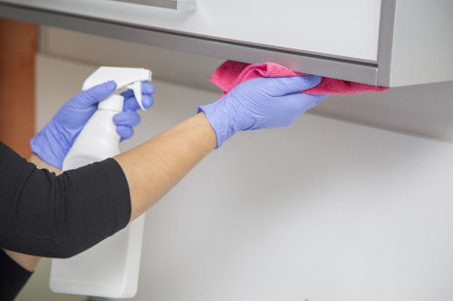 Professional treatment for stains in a SE4 home